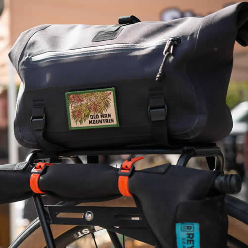 Old Man Mountain Juniper Trunk